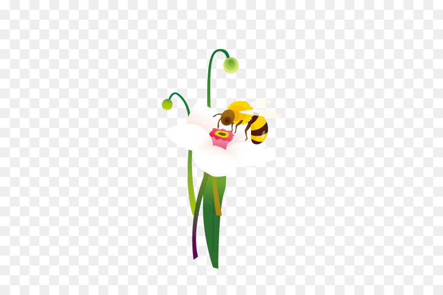 Abeja En Flor，Polinización PNG