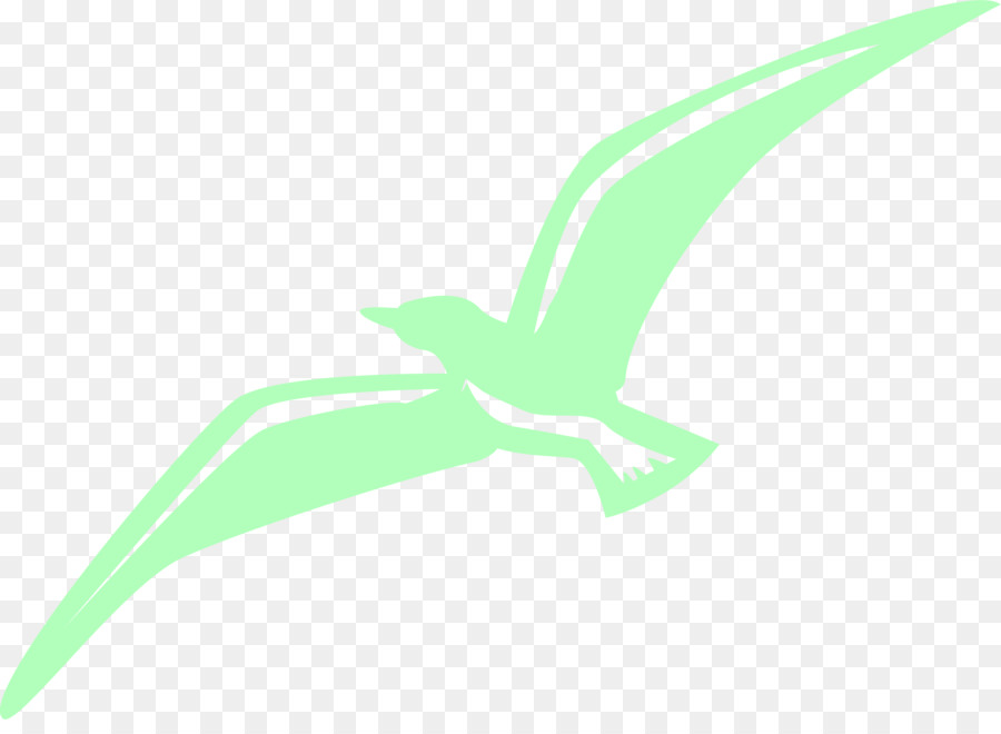 Pájaro，Vuelo PNG