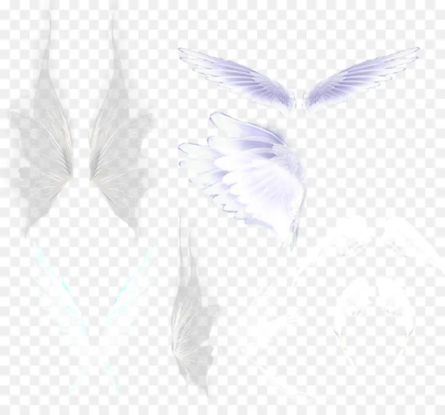 Descargar，Pluma PNG