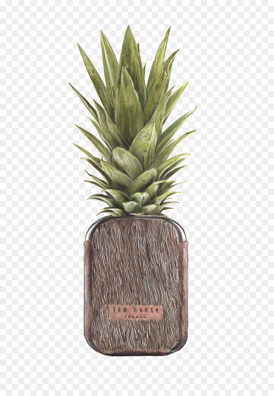 Smoothie，Piña PNG