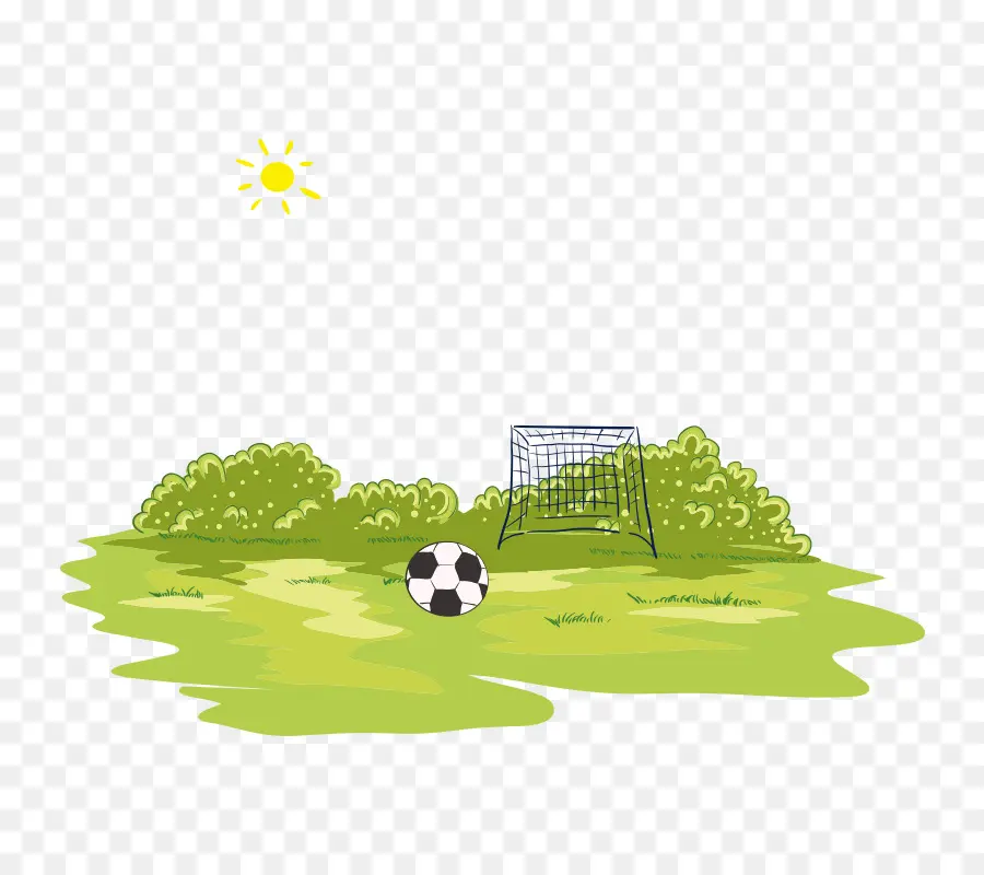 Campo De Fútbol，Pelota PNG