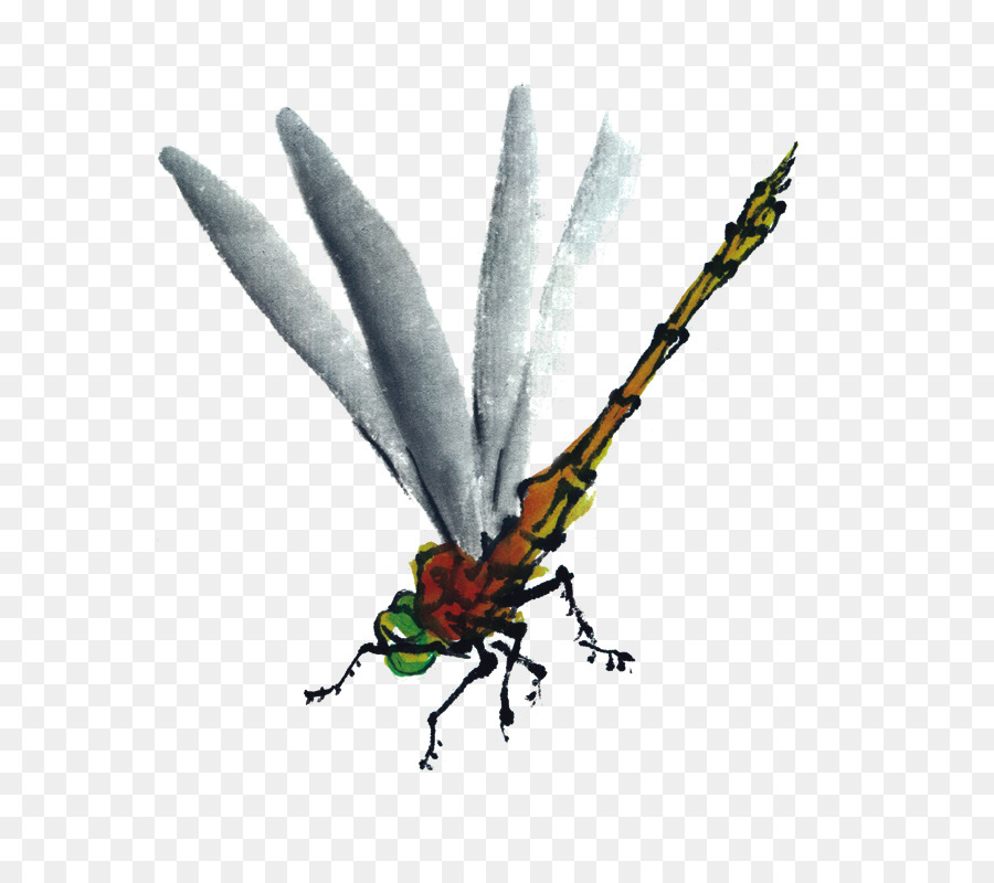 Insecto，Libélula PNG