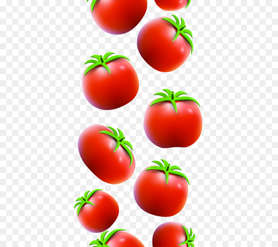 Tomate Ciruela，Tomate PNG