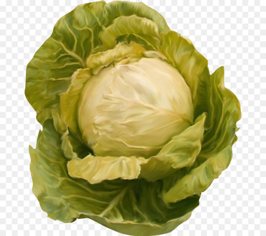 Col，La Coliflor PNG