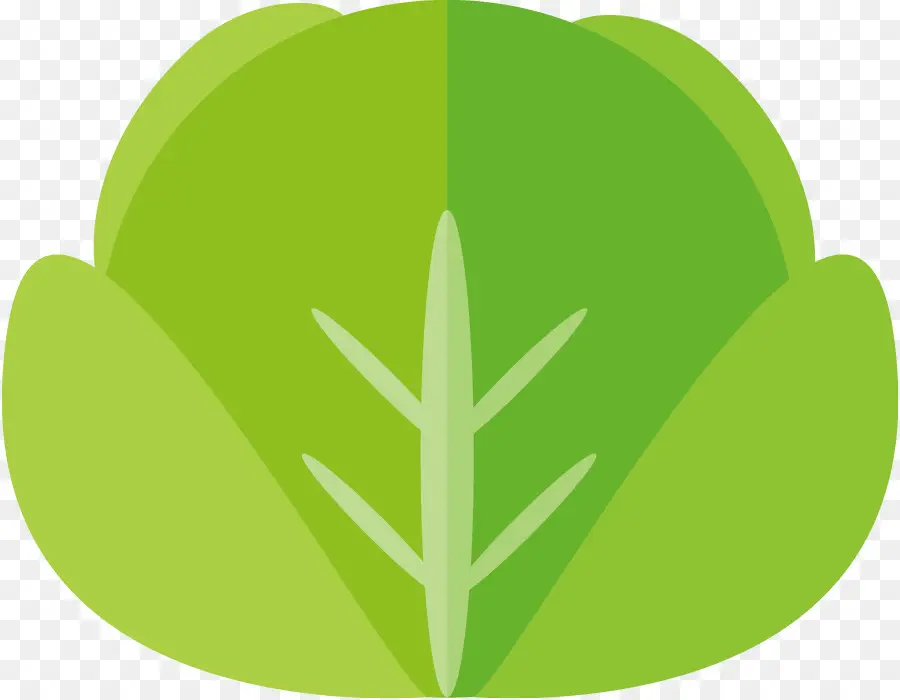 Vegetal，Bok Choy PNG