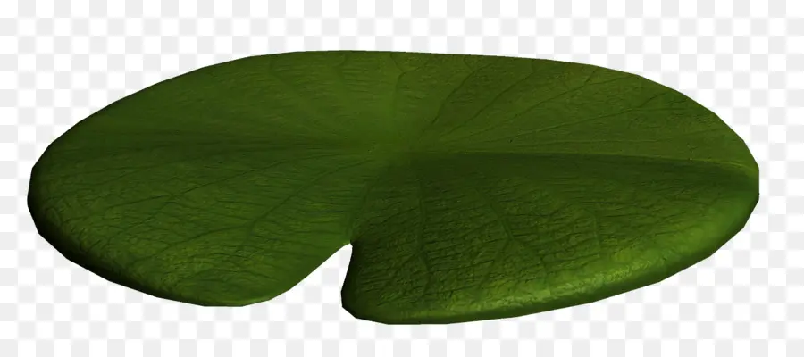 Hoja，Verde PNG