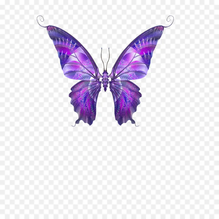 Mariposa，Papillon Perro PNG