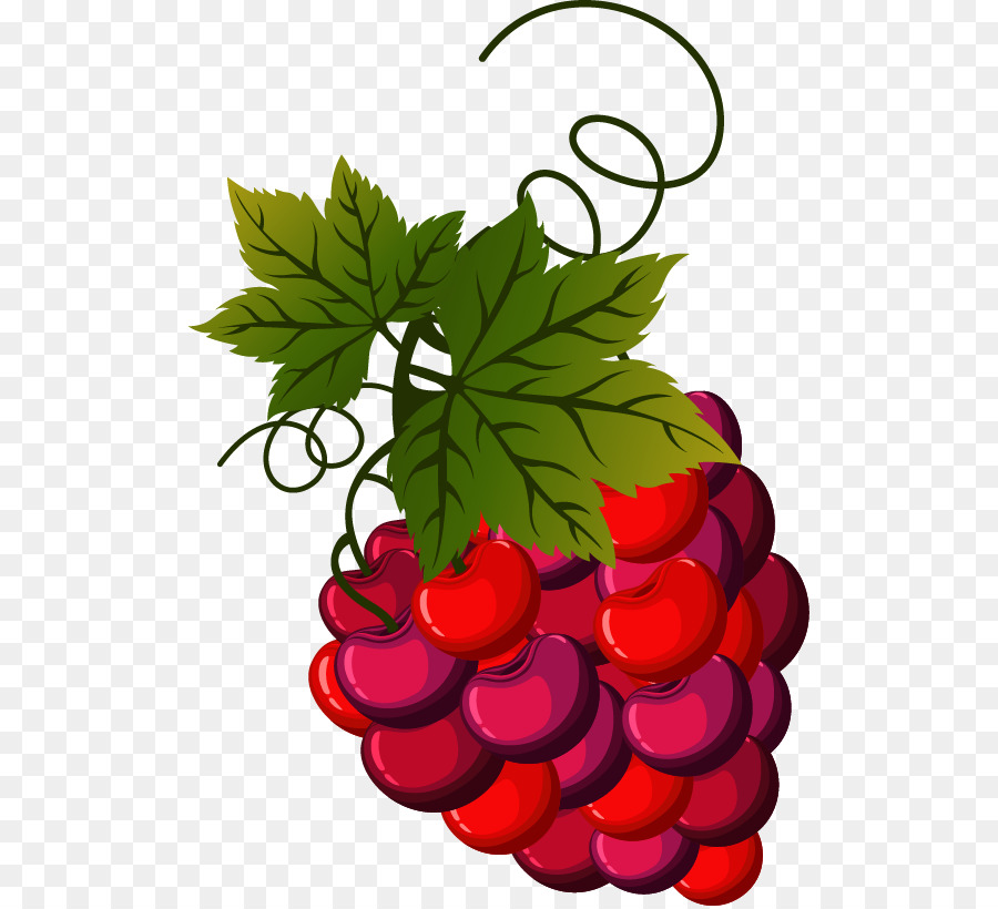 Uvas Moradas，Hojas PNG