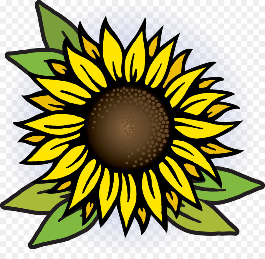 Girasol，Amarillo PNG