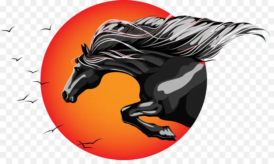 Caballo Negro，Equino PNG