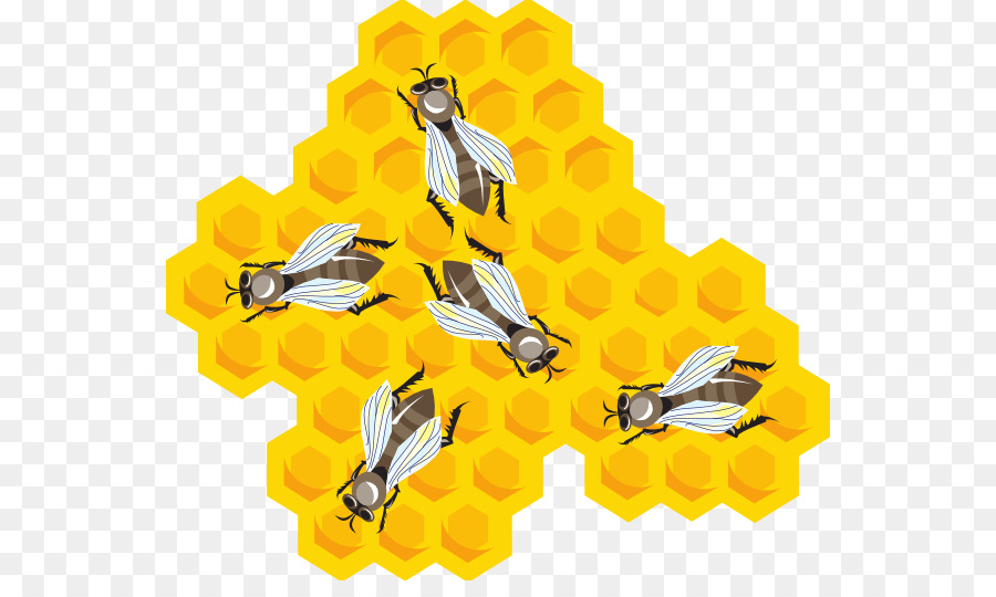 Abeja，Peine PNG