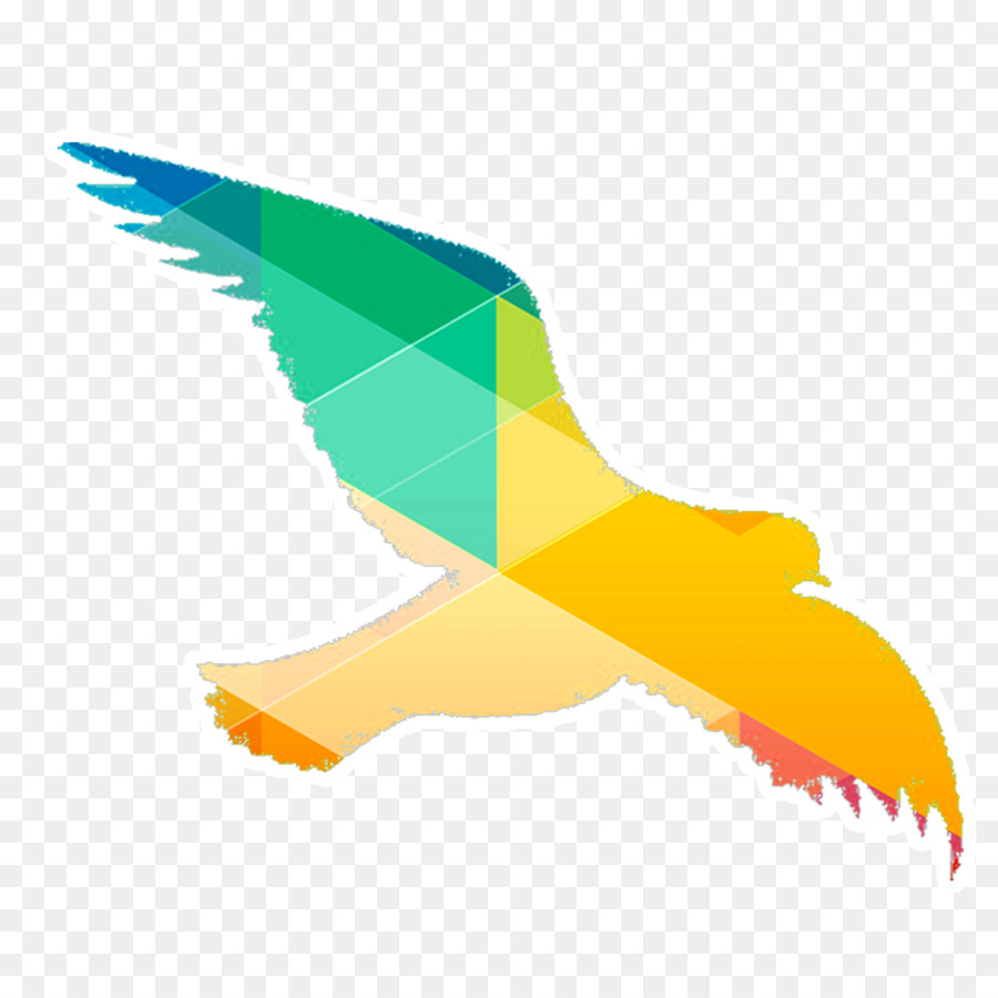 Pájaro，Silueta PNG