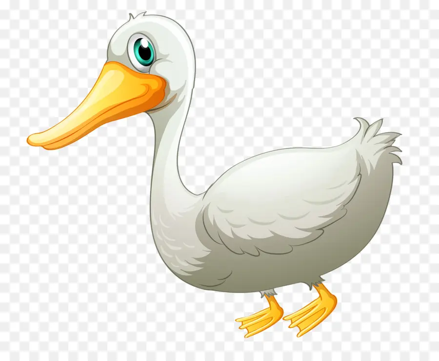 Pato，Pato Branco PNG