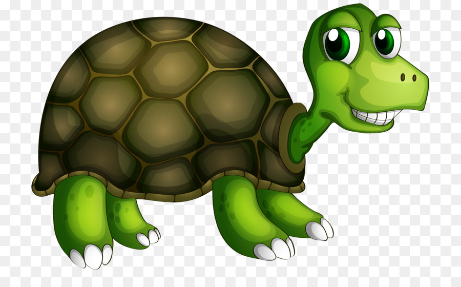 Tortuga，Royaltyfree PNG