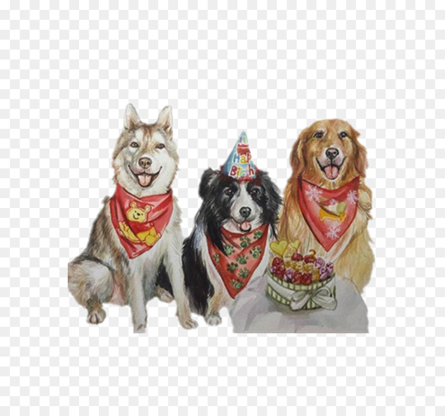 Perros，Mascotas PNG