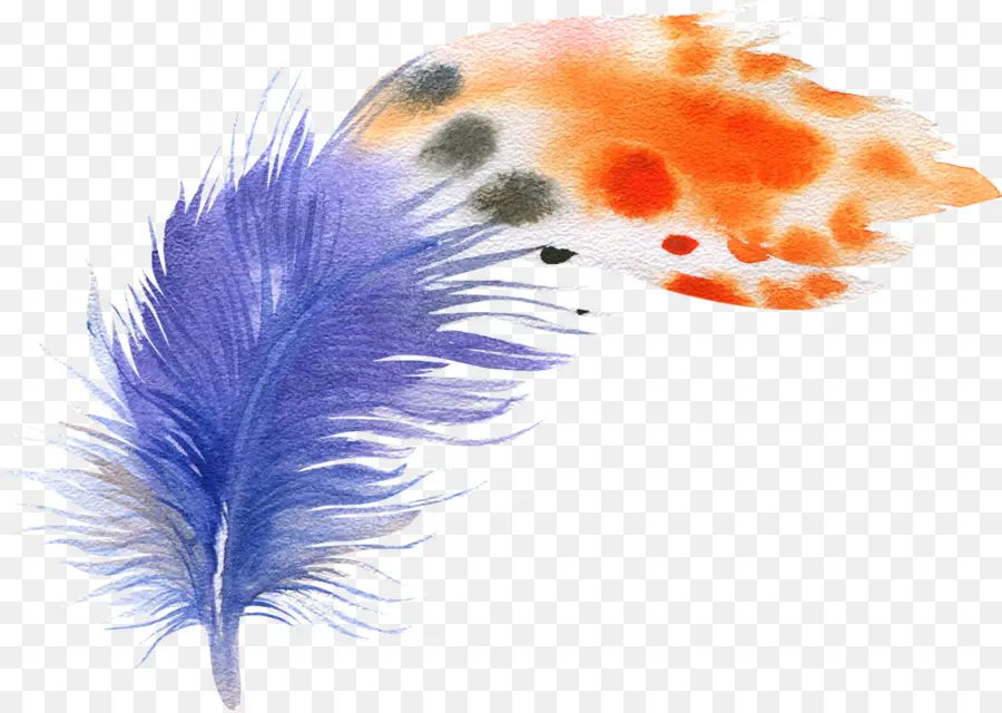 Pluma，Azul PNG