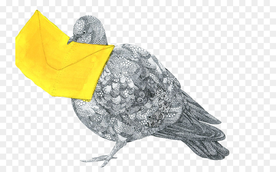 Homing Pigeon，Dibujo PNG