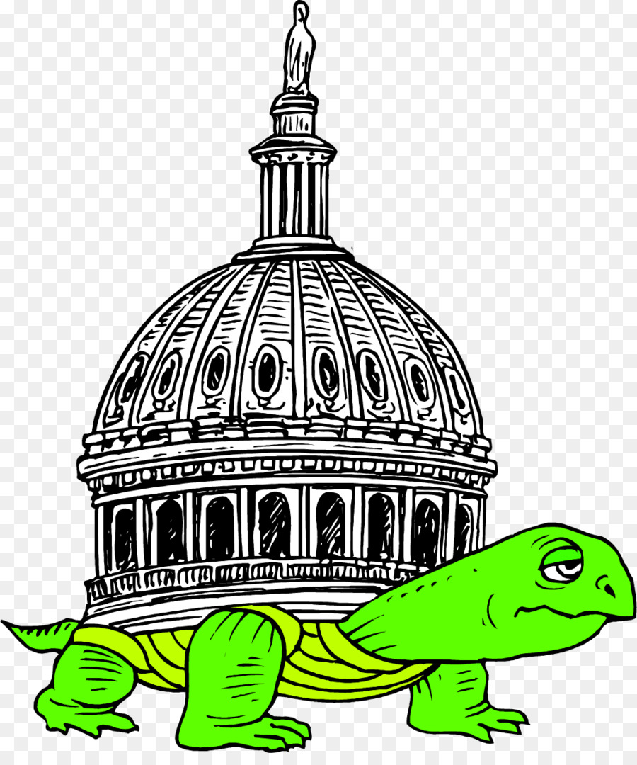 Tortuga，Tortuga Pintada PNG