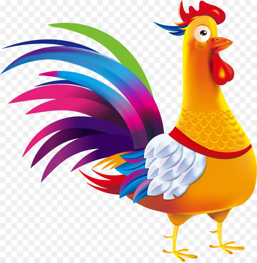 Gallo Colorido，Gallo PNG