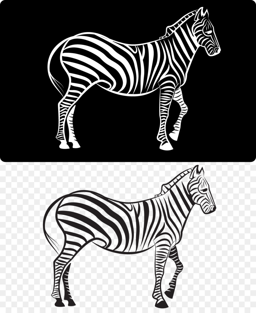 Zebra，Descargar PNG