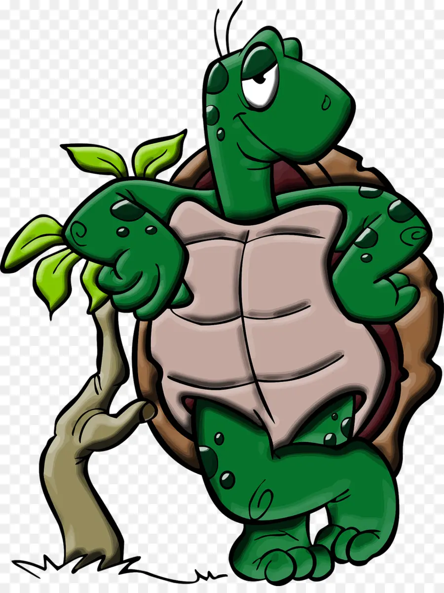 Tortuga De Dibujos Animados，Dibujos Animados PNG