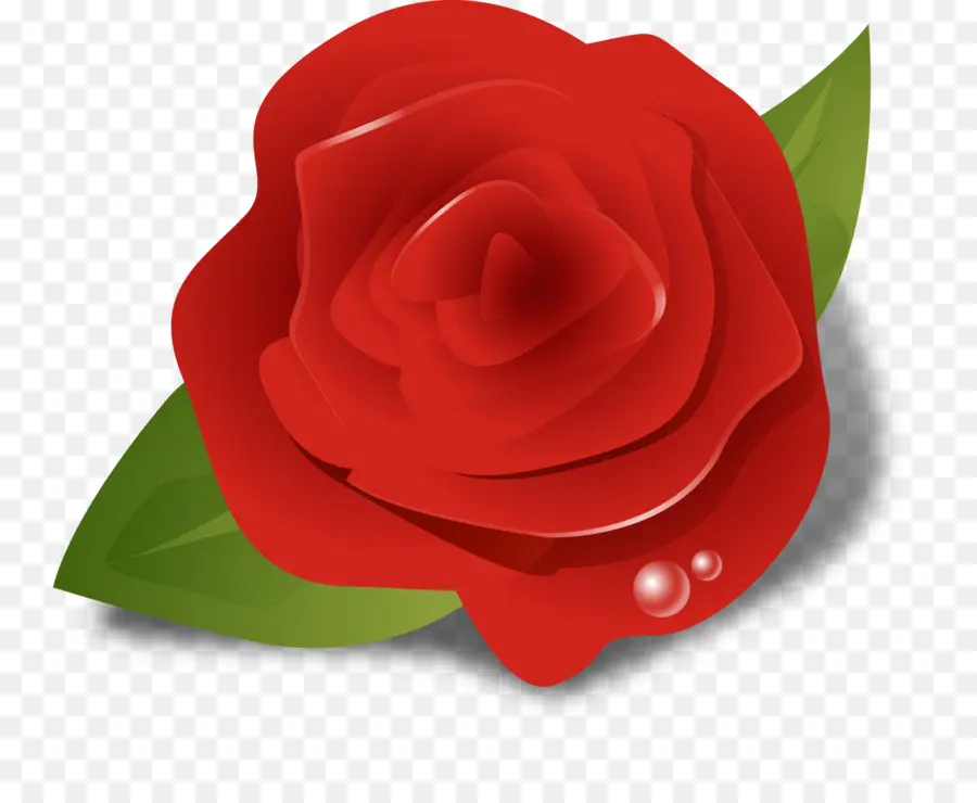 Rosa Roja，Hojas PNG