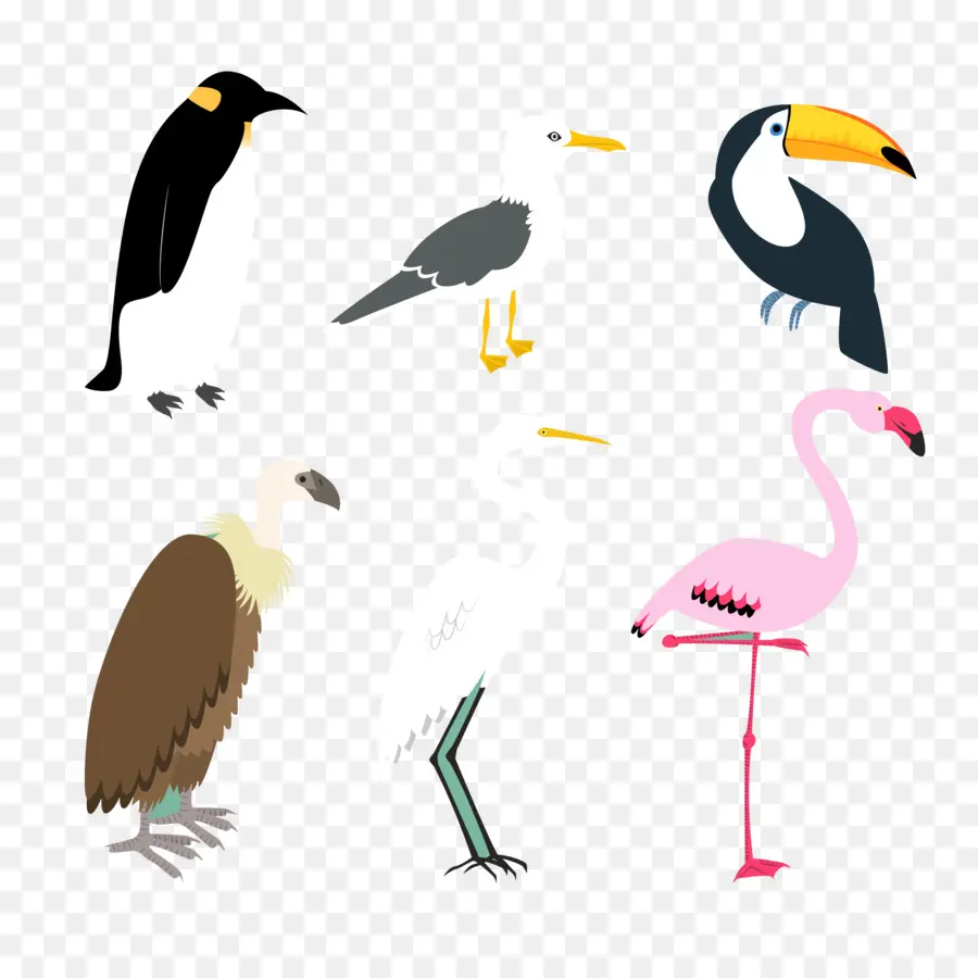 Pájaro，Postscript Encapsulado PNG