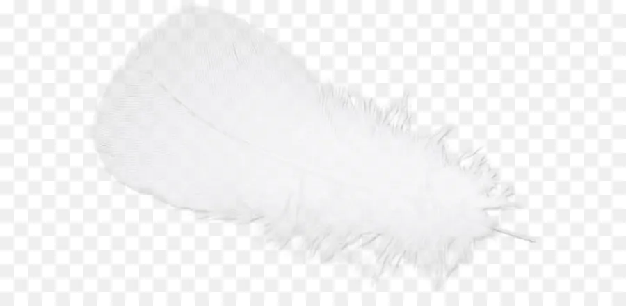 Pluma，Blanco PNG