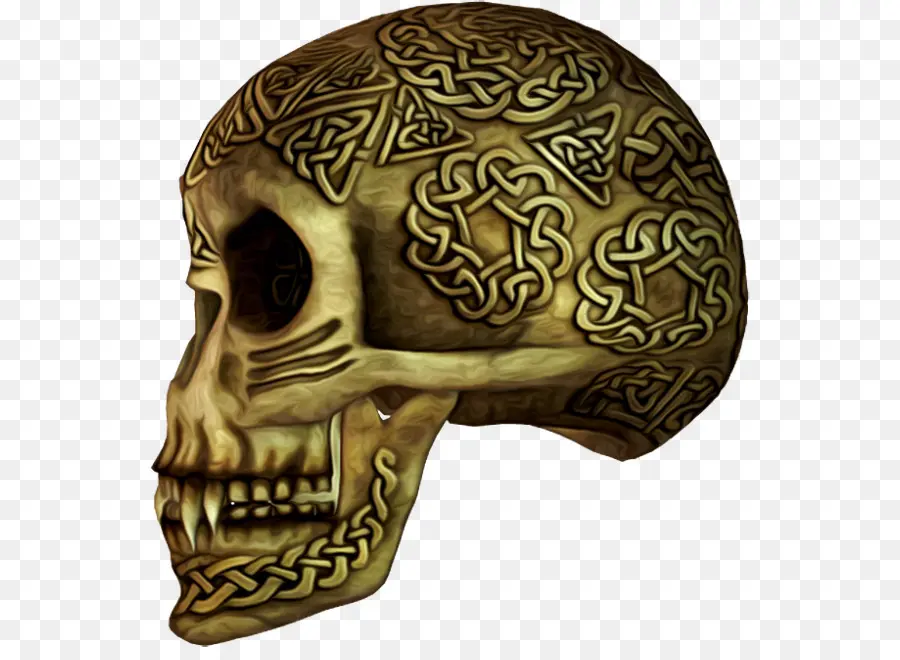 Cráneo，Calavera PNG