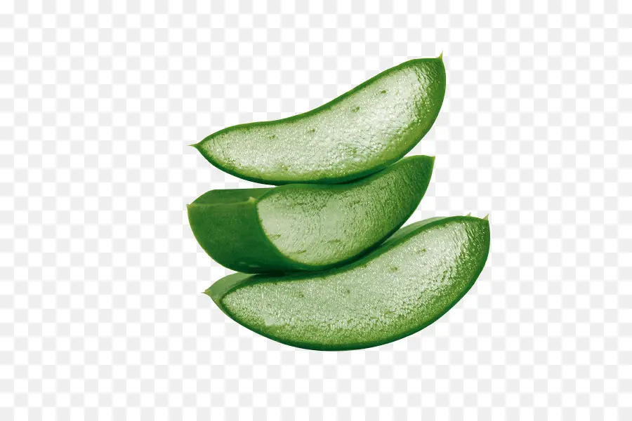 Aloe Vera，La Piel PNG