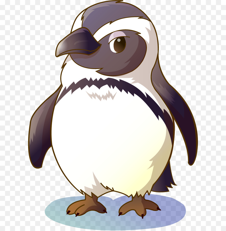 Pingüino De Dibujos Animados，Pájaro PNG