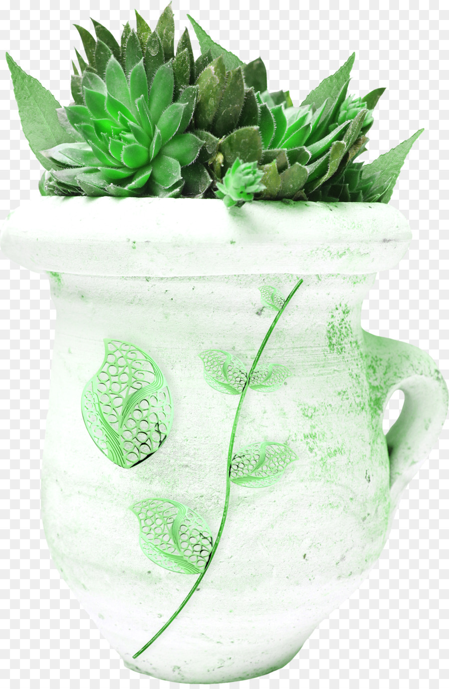 Planta，Planta Suculenta PNG