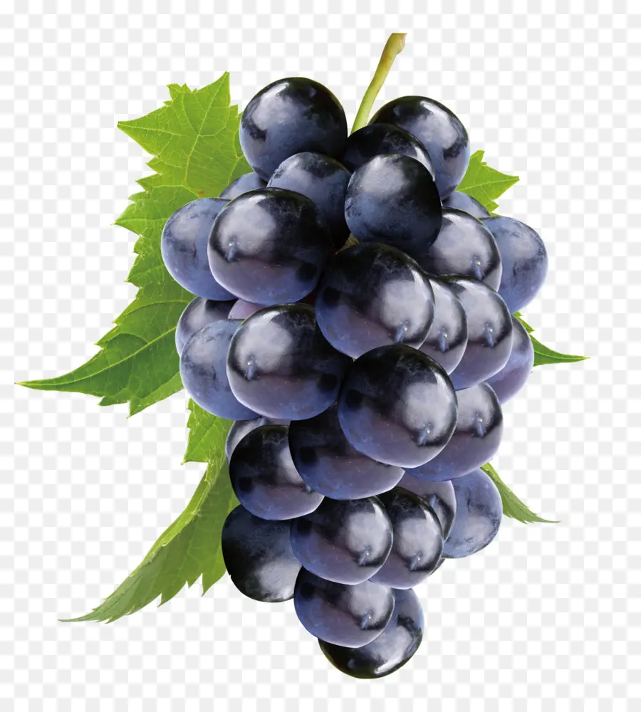 Kyoho，Vino PNG