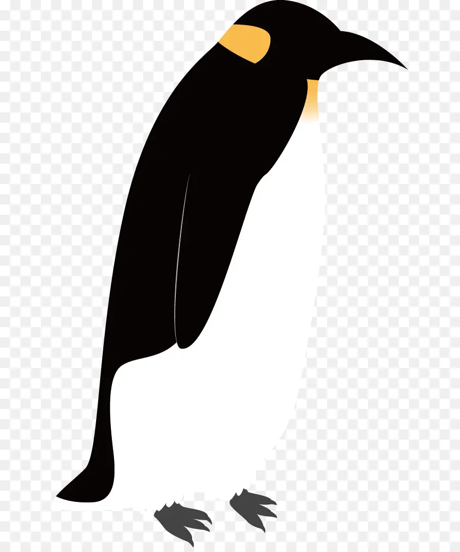 Penguin，Pájaro PNG