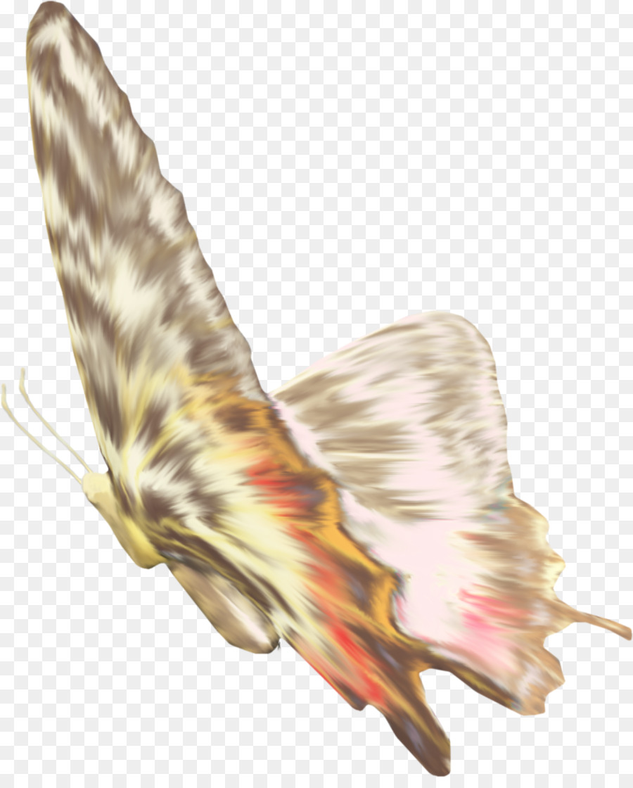 Mariposa，Pluma PNG