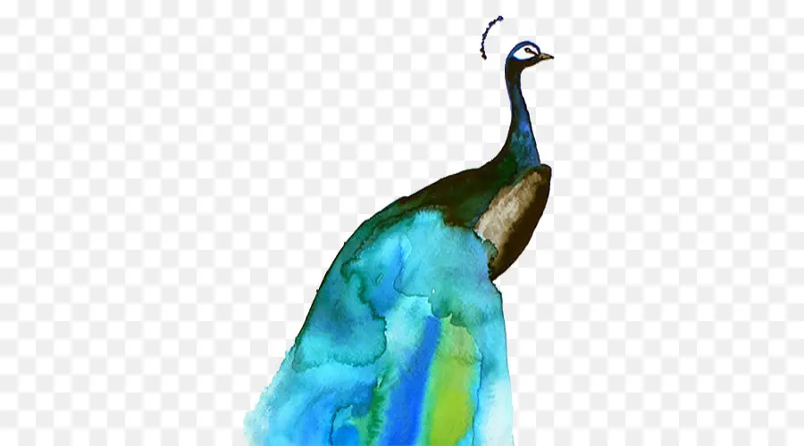 Pájaro，Pintura A La Acuarela PNG