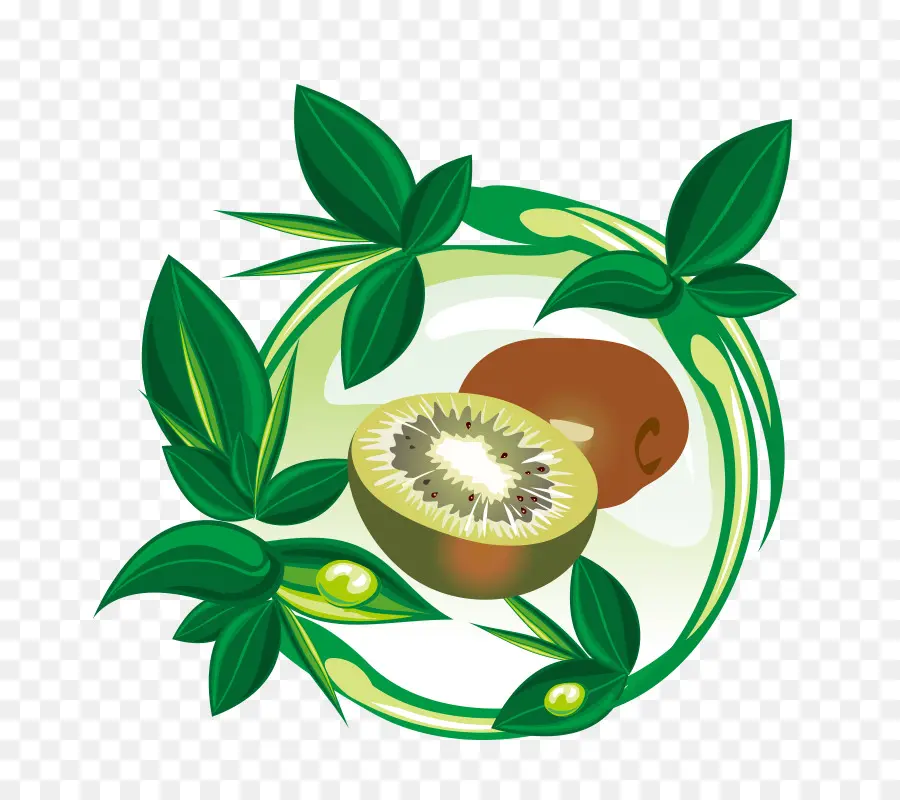 Kiwi，Verde PNG