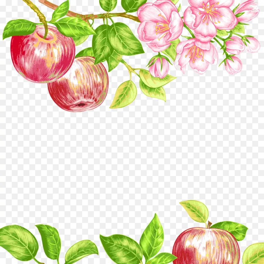 Manzanas Rojas，Hojas Verdes PNG