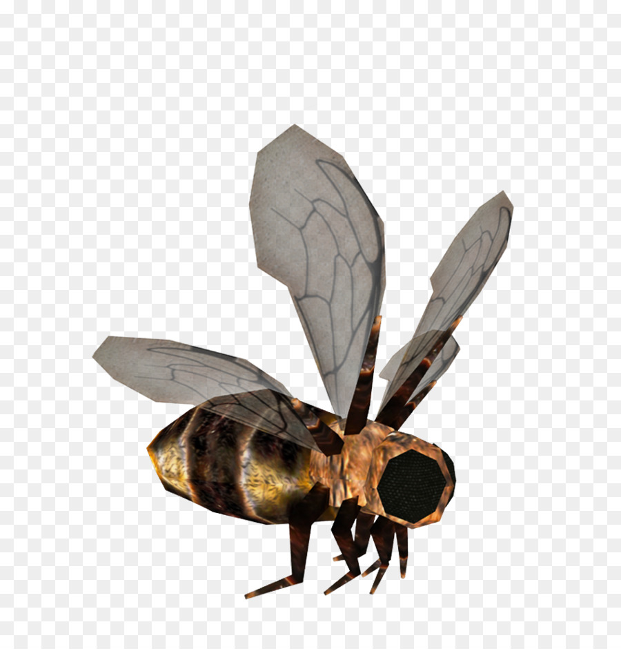 Abeja，Hornet PNG