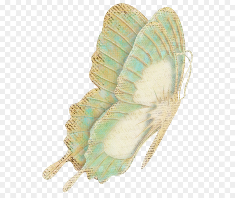 Mariposa，De Dibujos Animados PNG