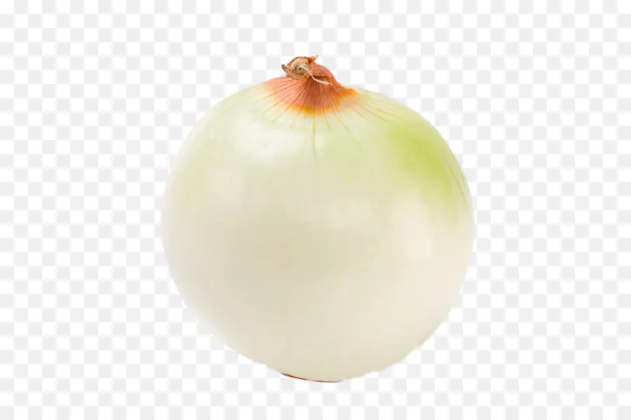 Cebolla，La Fruta PNG