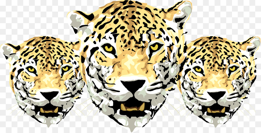 Jaguar，Leopardo Del Amur PNG