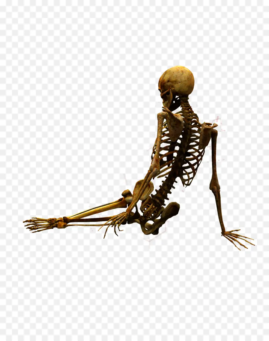 Esqueleto，Esqueleto En El 2018 Juegos Olímpicos De Invierno De Los Hombres PNG