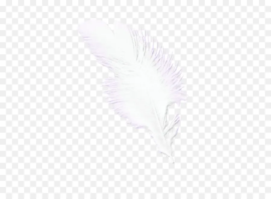 Pluma，Púrpura PNG