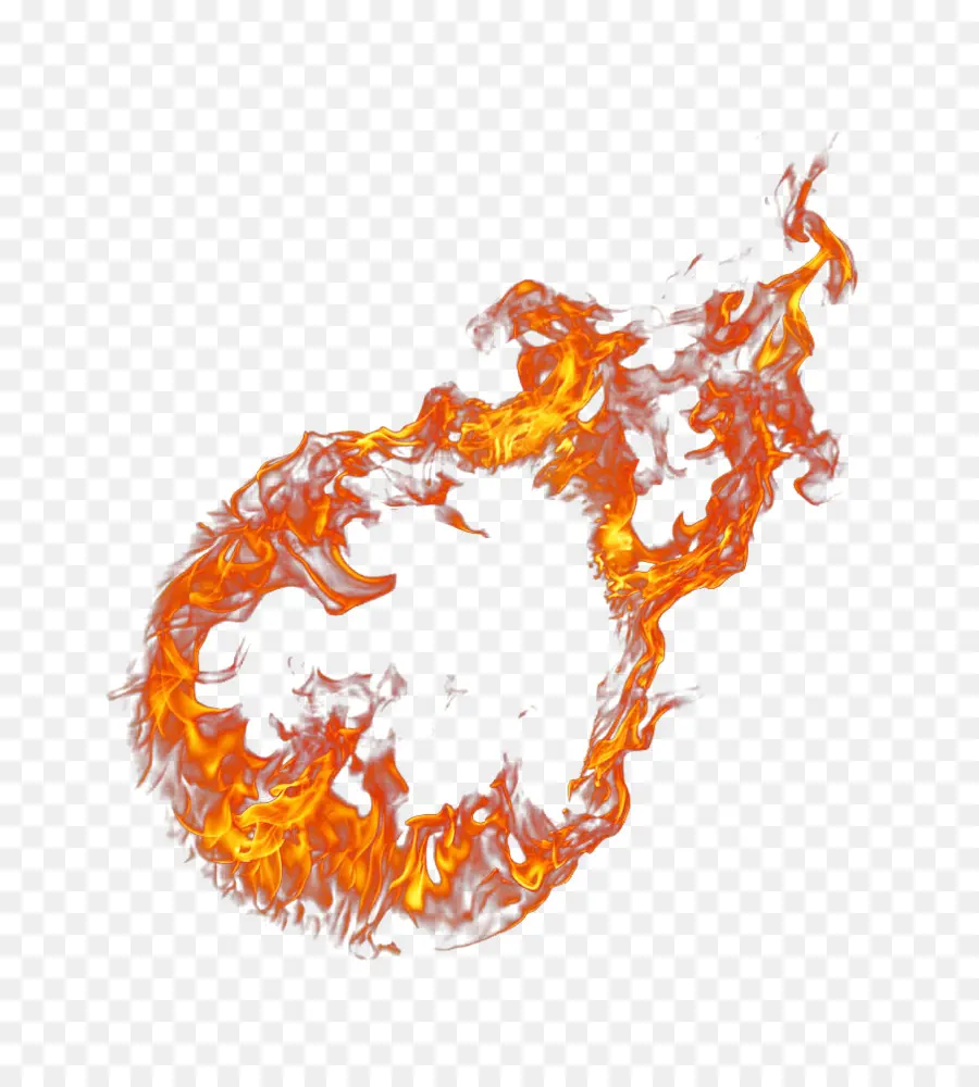 Llama，Fuego PNG