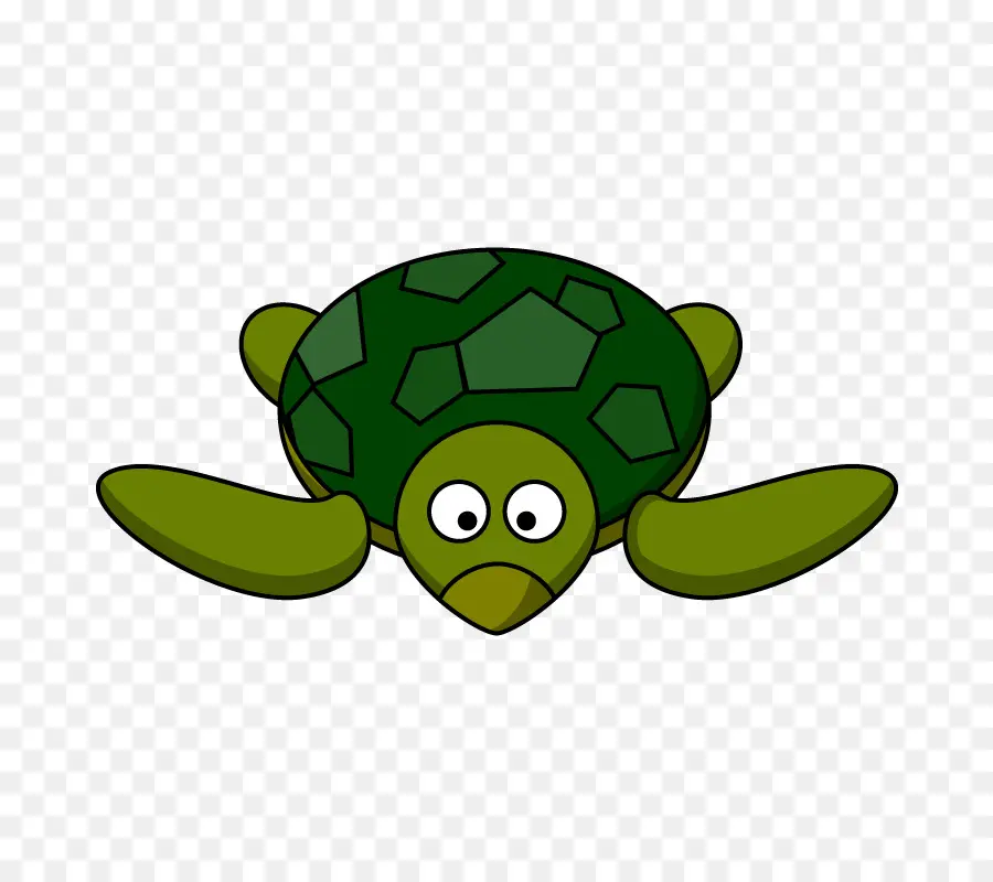 Tortuga，Animación PNG