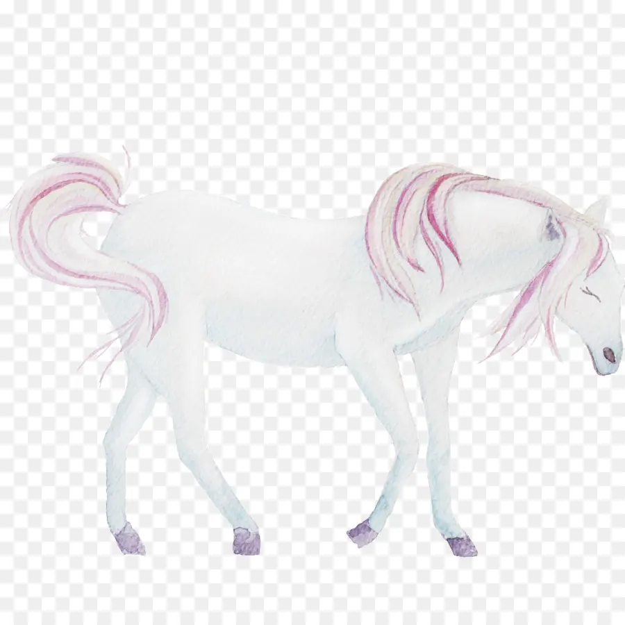 Caballo Blanco，Equino PNG