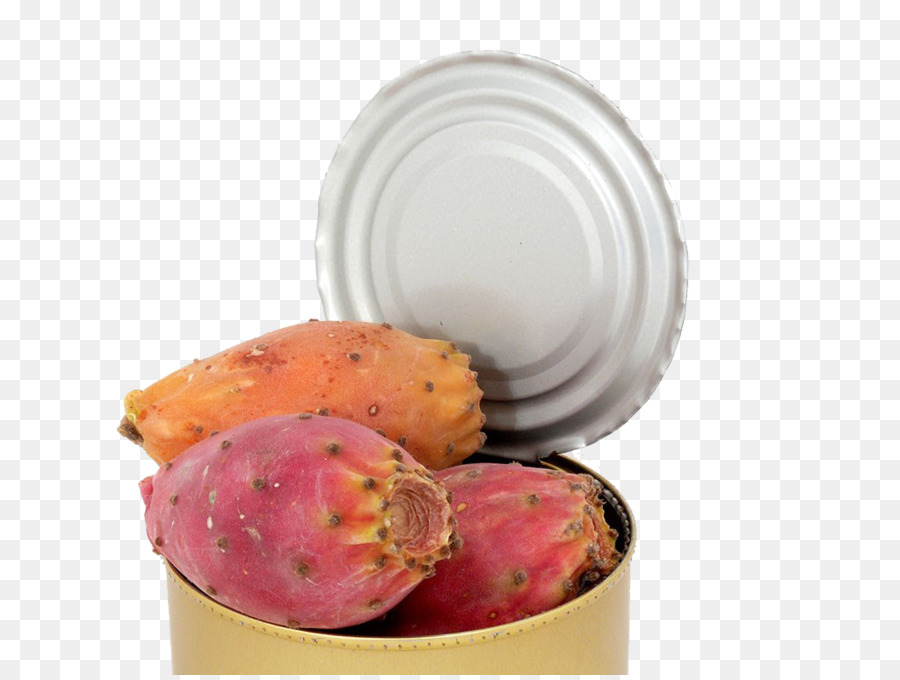 Fruto De La Olla，Cactaceae PNG