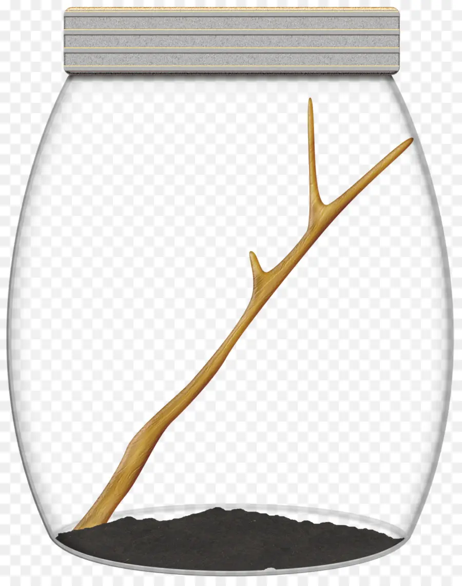 Tarro Vacío，Vaso PNG