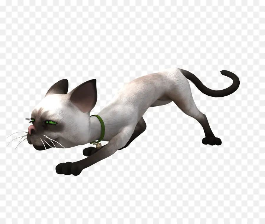 Gato Animado，Dibujos Animados PNG